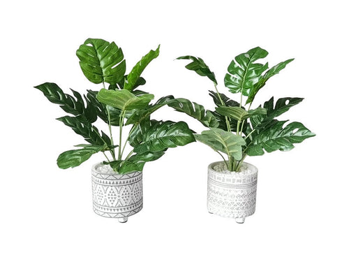 FERN IN WHITE MOROCCAN POT 2 AS- 42CM